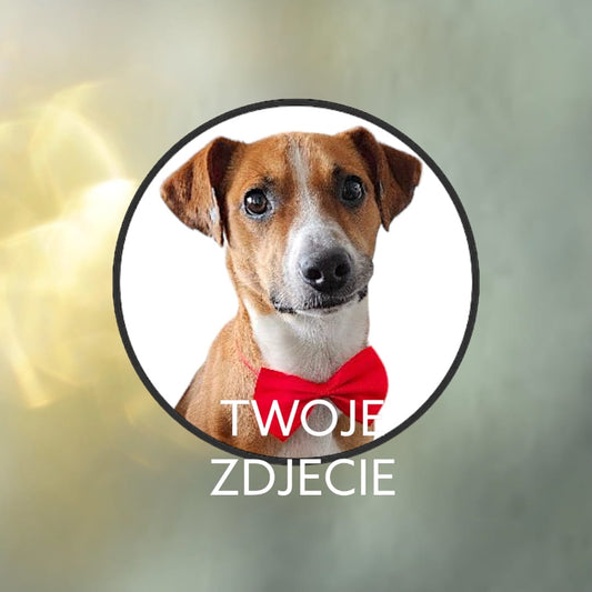 Personalizowany Kubek ze zdjęciem Twojego Pupila / Paski