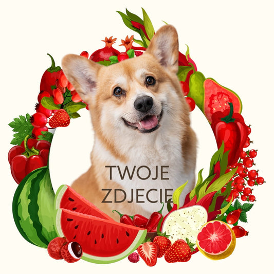 Personalizowany Prezent Poduszka z Twoim Pupilem / Owoce 2