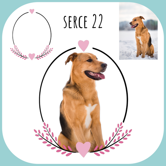Personalizacja eko Torba ze zdjęciem Twojego Pupila / Serce 22