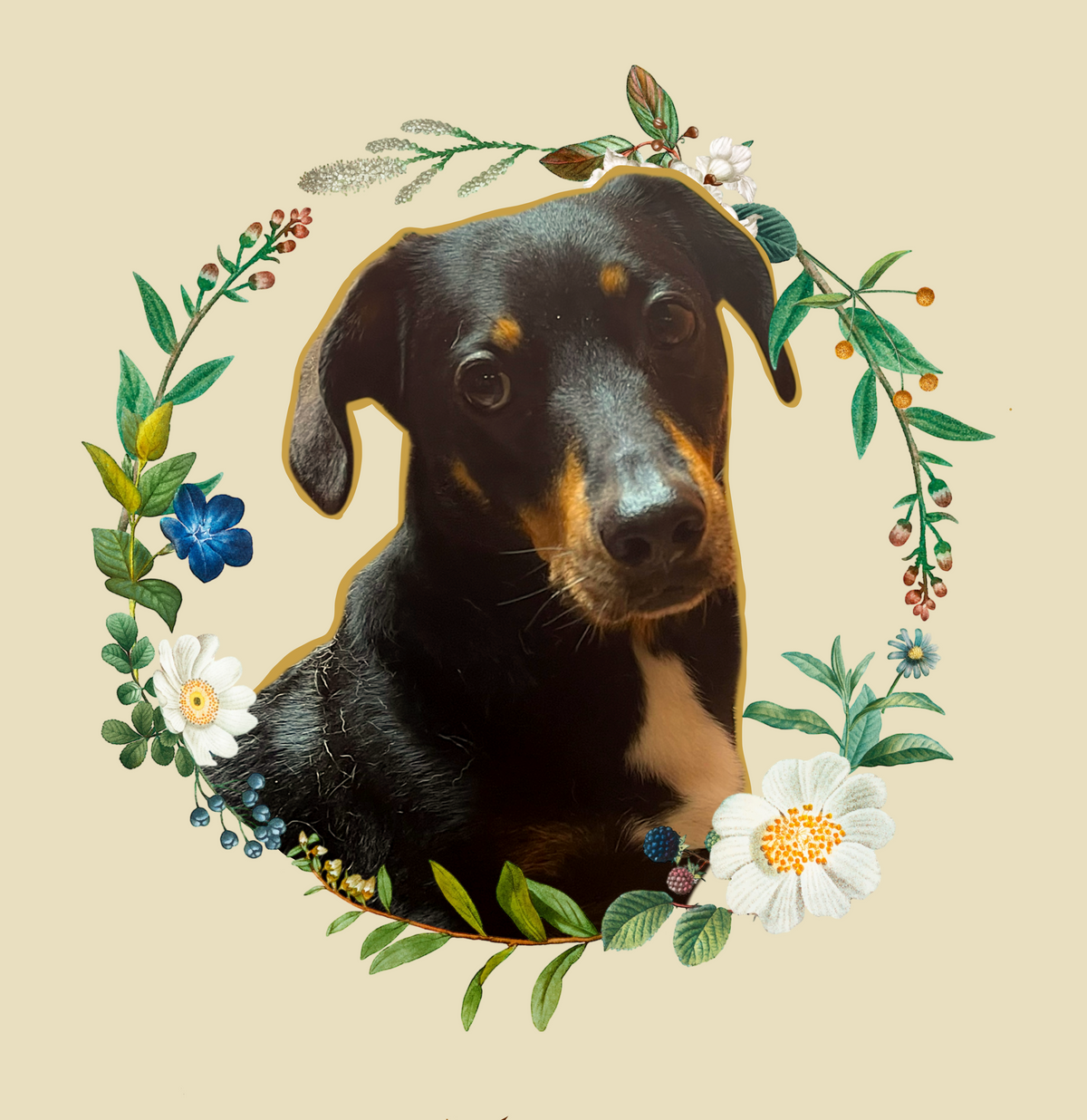 Flower Power
