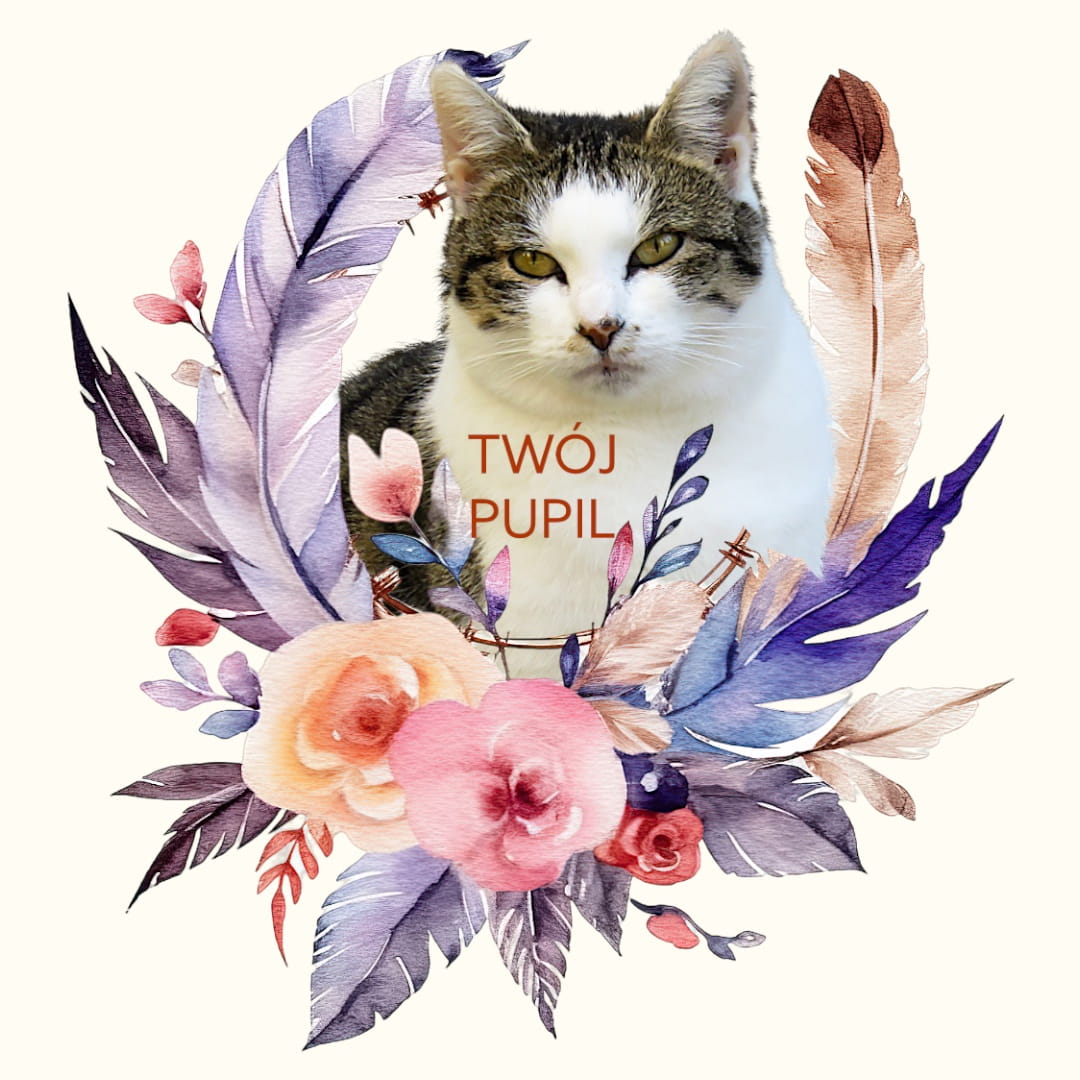 Koszulka z Twoim Pupilem Personalizacja / Biała / Czarna / Dziecięca Unisex / Boho 3