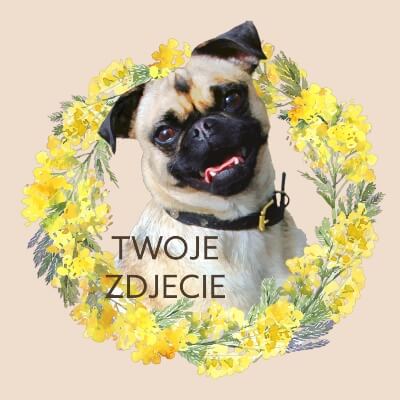 Personalizowany Prezent Poduszka z Twoim Pupilem / Wiosna 4