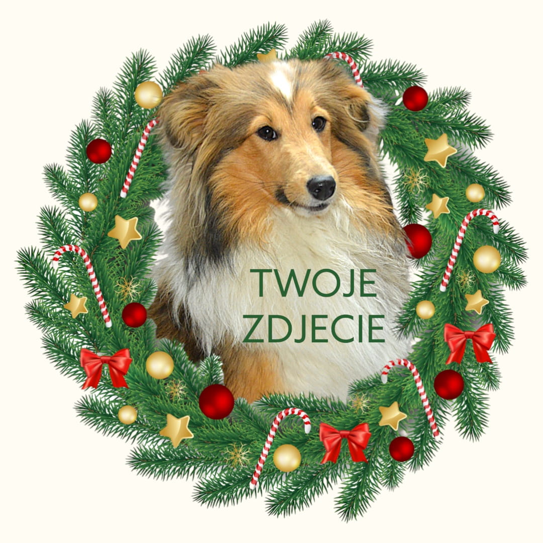 T-shirt z nadrukiem Twój Pupil na koszulce Biały / Czarny / Unisex / Boże Narodzenie 5