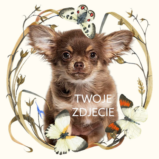 Personalizowany Prezent Poduszka z Twoim Pupilem / Motyle 1