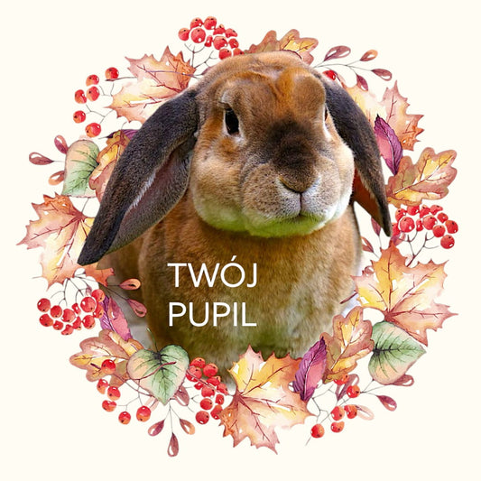 Personalizacja eko Torba ze zdjęciem Twojego Pupila / Jesień 4