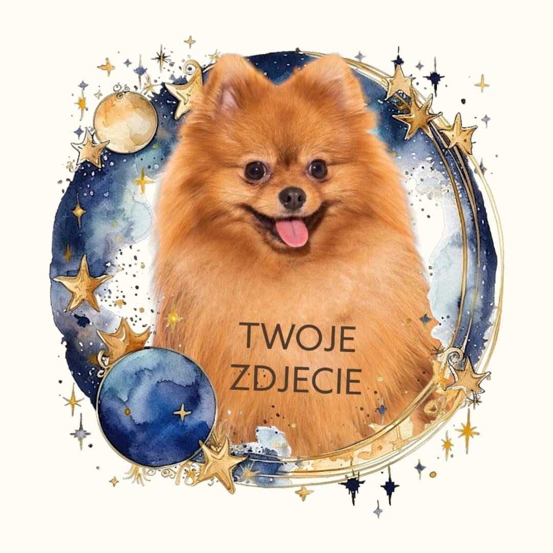 Personalizowany Prezent Poduszka z Twoim Pupilem / Kosmos 1