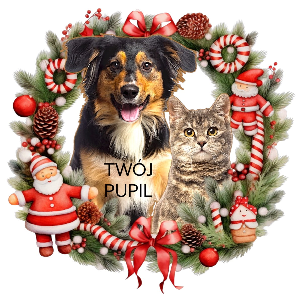 Koszulka z Twoim Pupilem Personalizacja / Biała / Czarna / Dziecięca Unisex / Boże Narodzenie 10