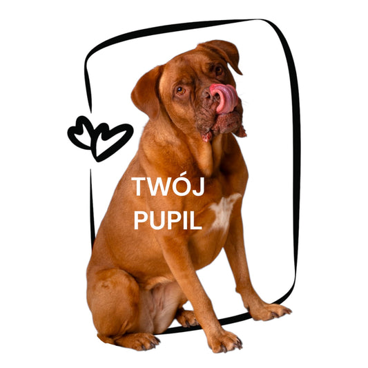 Personalizowany Prezent Poduszka z Twoim Pupilem / Ramka Mini
