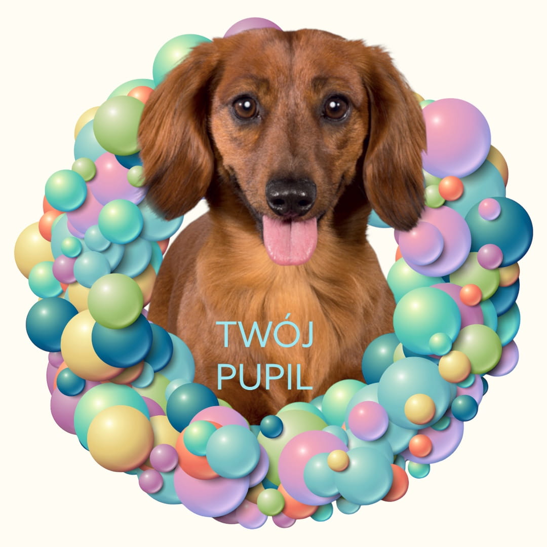 Koszulka z Twoim Pupilem Personalizacja / Biała / Czarna / Dziecięca Unisex / Balony 1