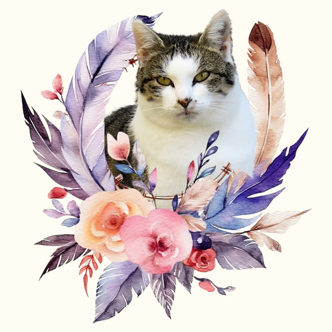 Koszulka z Twoim Pupilem Personalizacja / Biała / Czarna / Dziecięca Unisex / Boho 3
