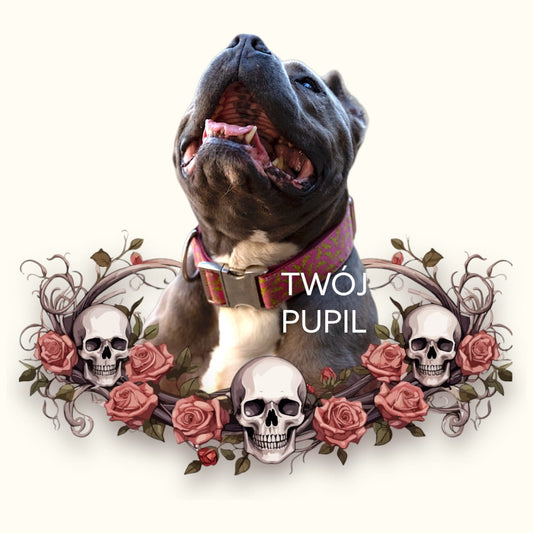 Personalizacja eko Torba ze zdjęciem Twojego Pupila / Halloween 10