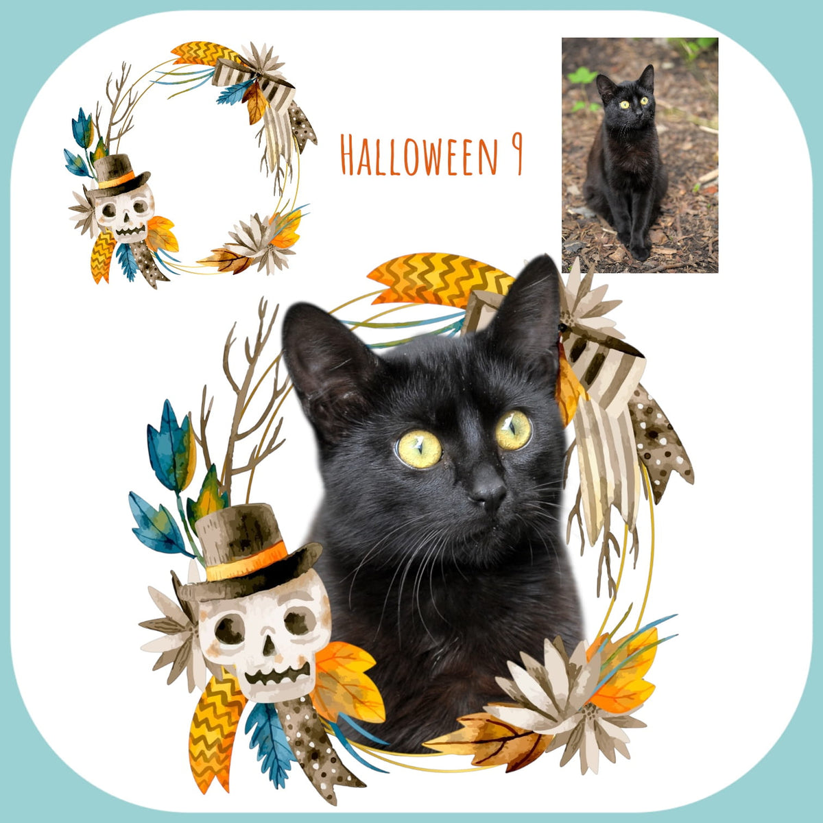Koszulka z Twoim Pupilem Personalizacja / Biała / Czarna / Dziecięca Unisex / Halloween 9