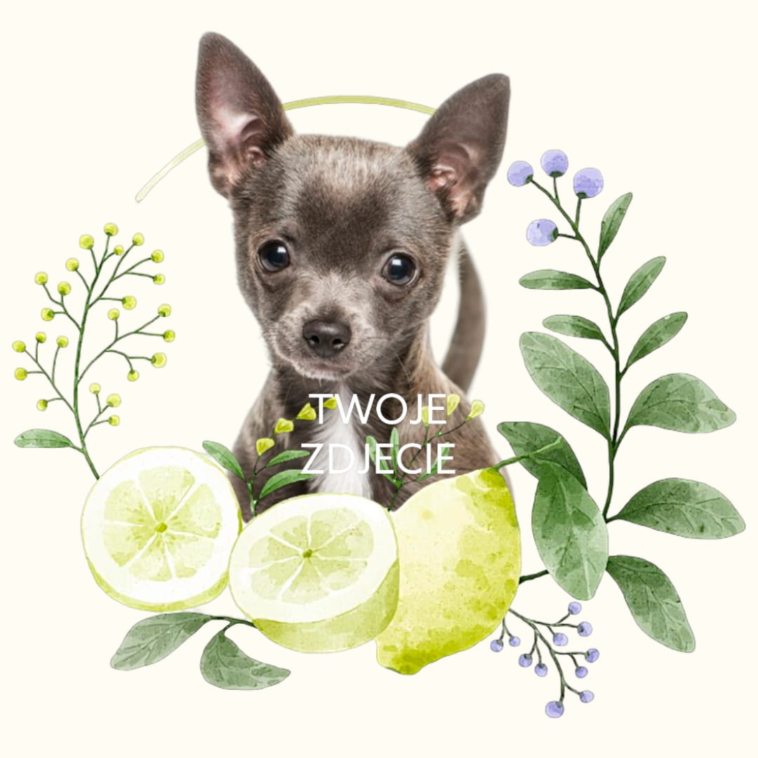 Personalizowany Prezent Poduszka z Twoim Pupilem / Cytryny 2