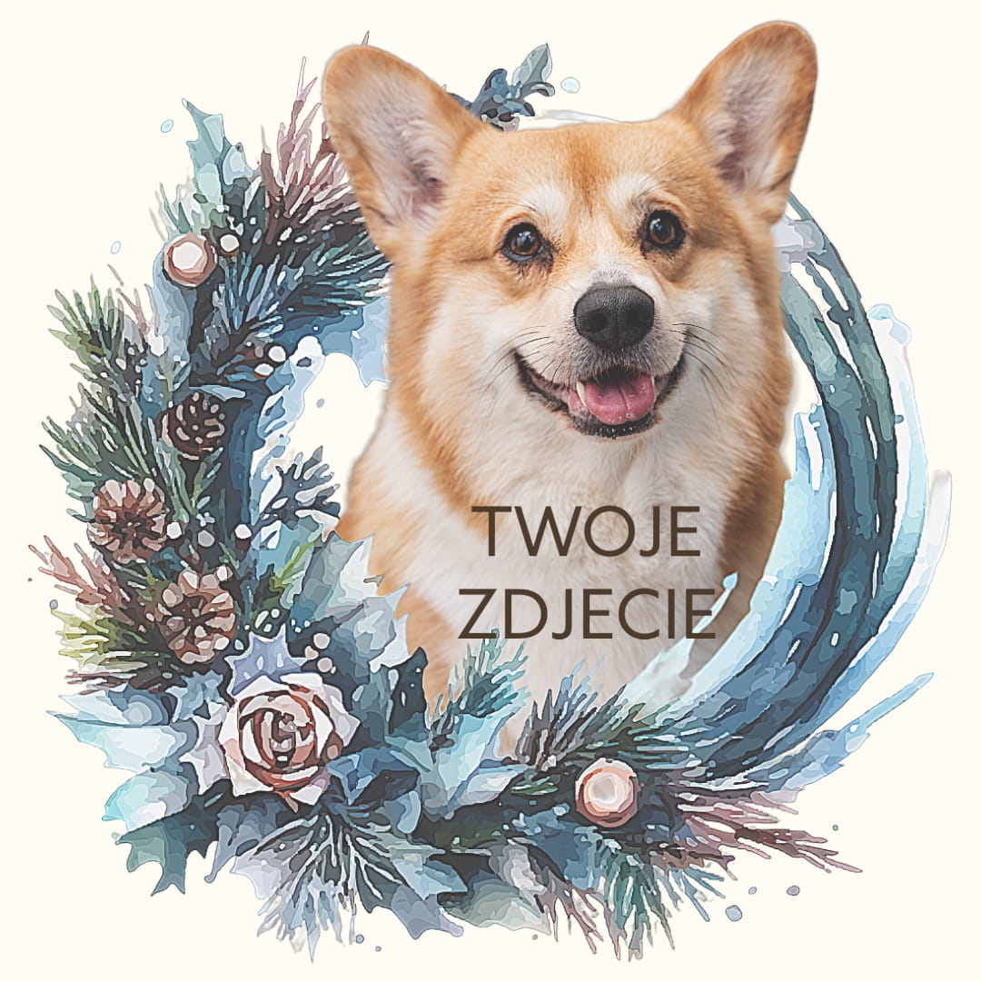 Personalizowany Prezent Poduszka z Twoim Pupilem / Boże Narodzenie 3