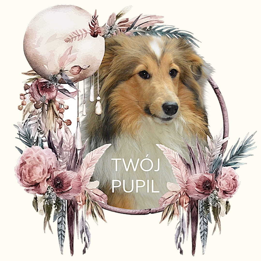 Koszulka z Twoim Pupilem Personalizacja / Biała / Czarna / Dziecięca Unisex / Boho 2