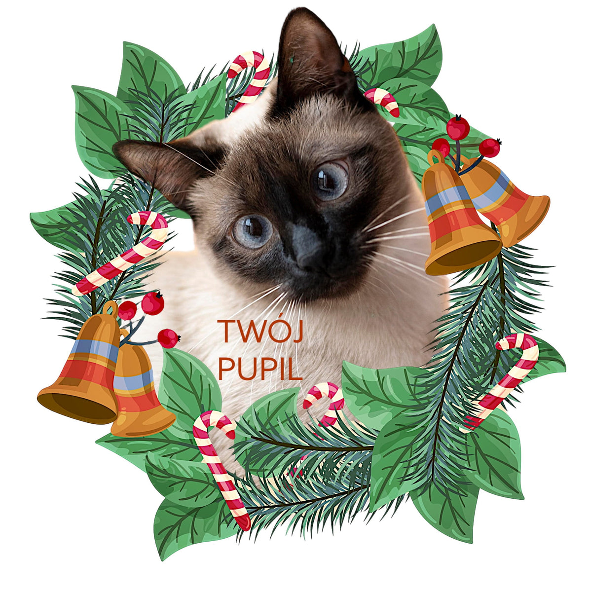 Koszulka z Twoim Pupilem Personalizacja / Biała / Czarna / Dziecięca Unisex / Boże Narodzenie 12