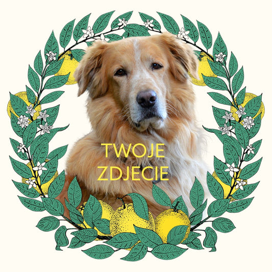 Personalizowany Prezent Poduszka z Twoim Pupilem / Cytryny 1